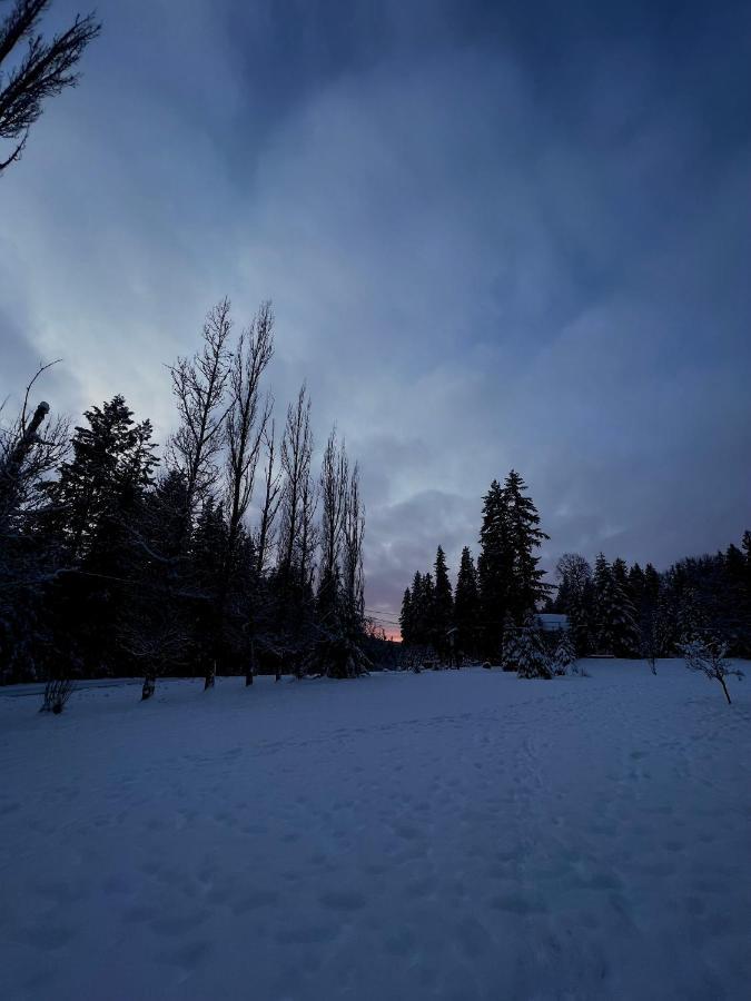 The Messy Owl Inn & Eco Haven Likely Экстерьер фото