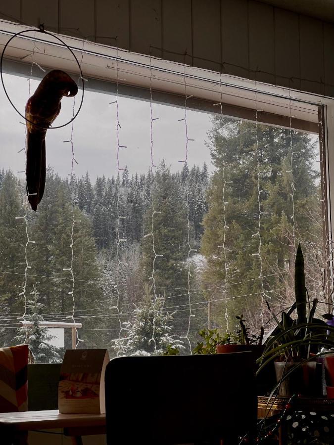 The Messy Owl Inn & Eco Haven Likely Экстерьер фото