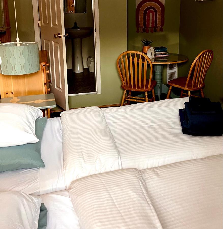 The Messy Owl Inn & Eco Haven Likely Экстерьер фото