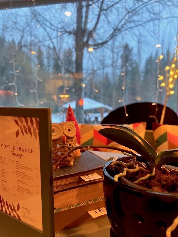 The Messy Owl Inn & Eco Haven Likely Экстерьер фото